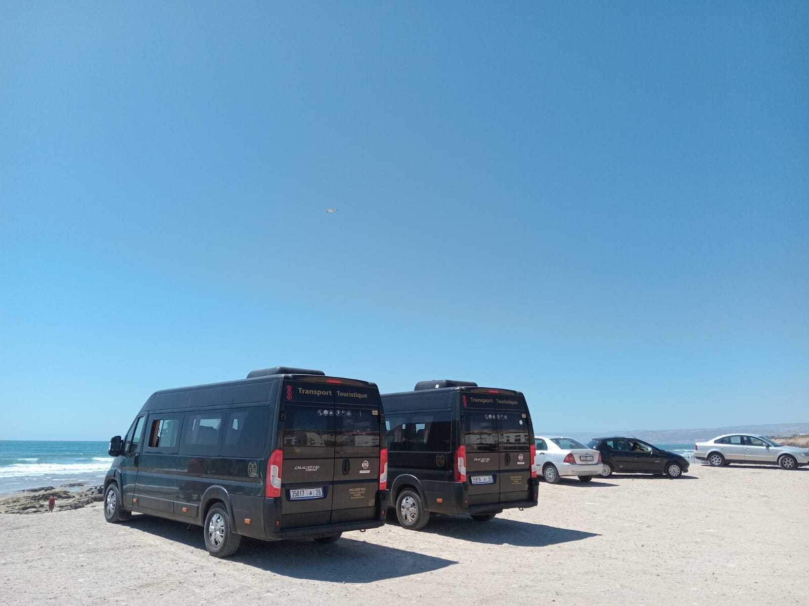 Luxury Vans